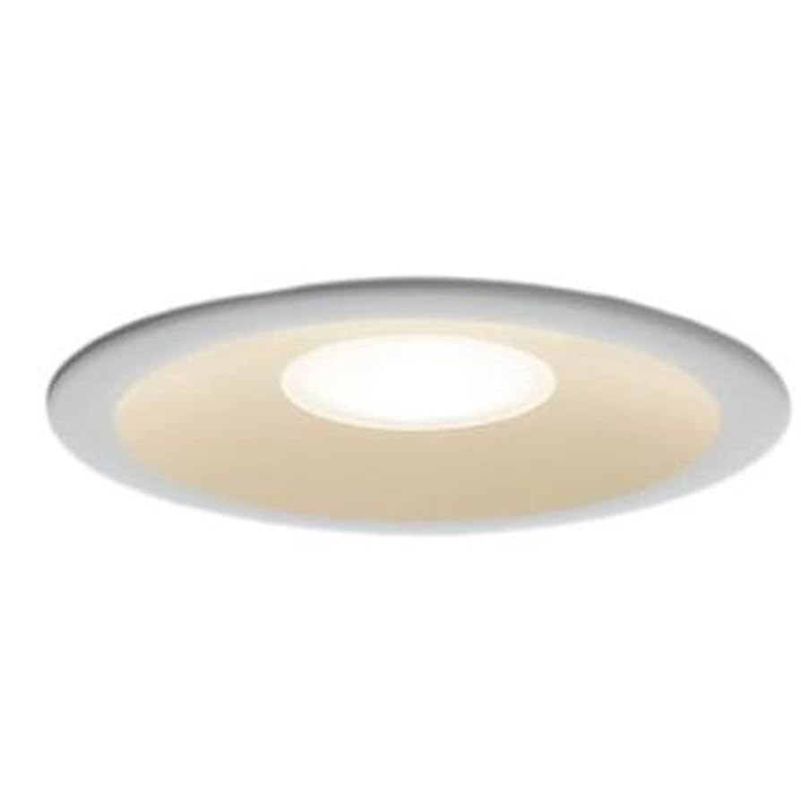 Amazon.co.jp: Toshiba LED D87041L(W)-LS 60W Class High